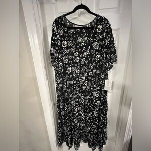 Size 3x women within black sheer coverup/dress